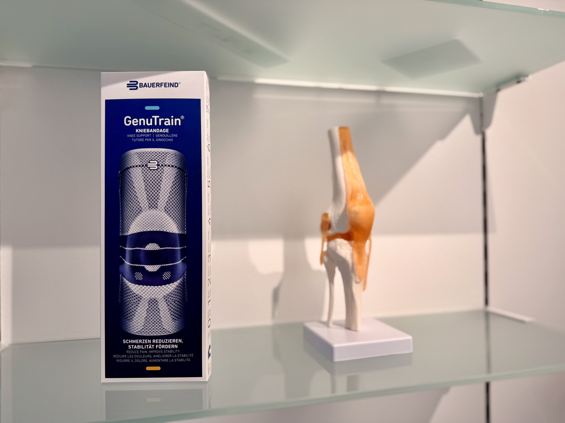 Bauerfeind GenuTrain Kniebandage mit Kniegelenksmodell